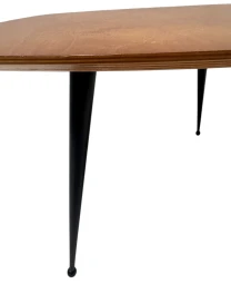 Mid-Century Modern TB16 Coffee Table by Cees Braakman for Pastoe, 1953
